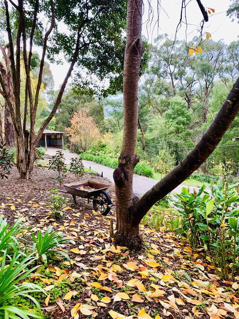 Emerald Star Cottages - Queensland Tourism 3