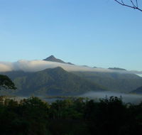 Epiphyte B  B - Queensland Tourism