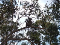 Book Haden Accommodation Vacations QLD Tourism QLD Tourism