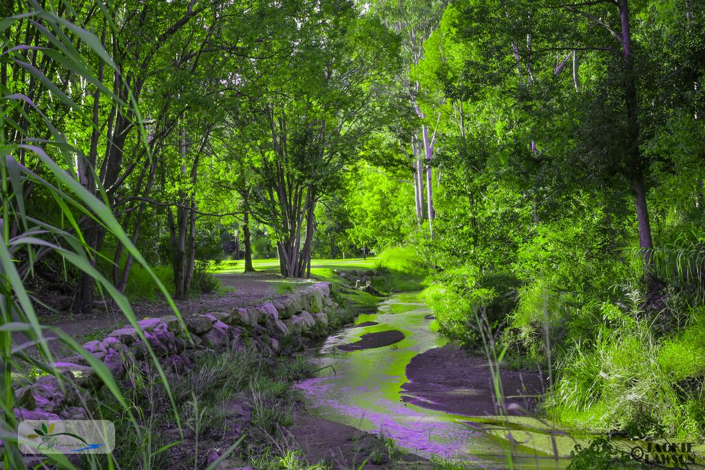 Mount Byron QLD QLD Tourism