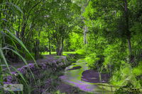 Book Esk Accommodation Vacations QLD Tourism QLD Tourism