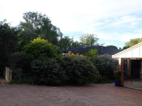 Esperance Seafront Holiday Units - QLD Tourism 3