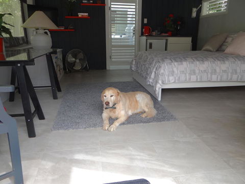 Eumundi Yacht Club B&B - QLD Tourism 1