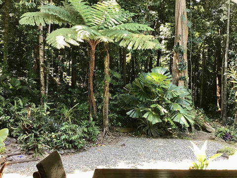 Forest Views Daintree - Queensland Tourism 0