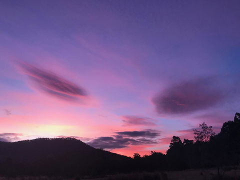 Forest Walks Lodge - QLD Tourism 2