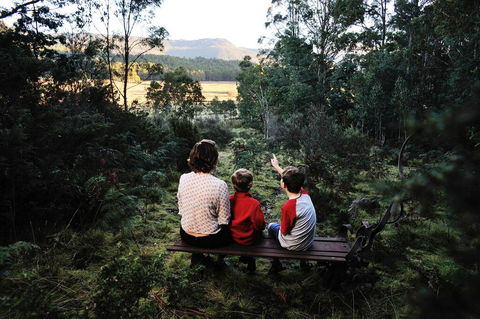 Forest Walks Lodge - QLD Tourism 3