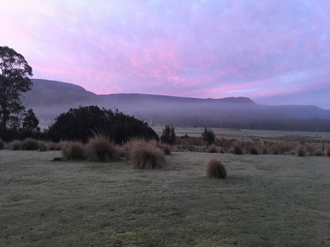 Forest Walks Lodge - QLD Tourism 1