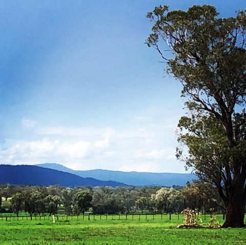 Fourjay Farmstay - QLD Tourism 0