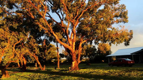 French Island Cottage - Queensland Tourism 1