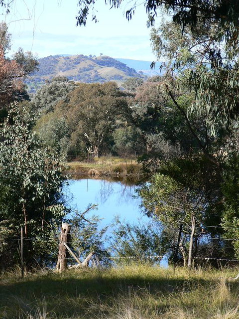 Gaddleen Grove Cottages - QLD Tourism 3