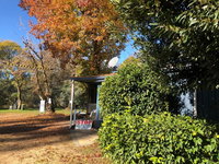 Book Whitfield Accommodation Vacations QLD Tourism QLD Tourism