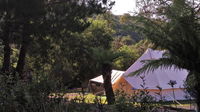 Book Zeehan Accommodation Vacations QLD Tourism QLD Tourism