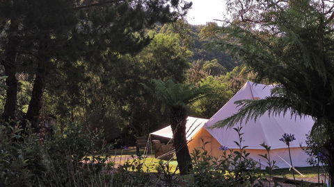 Glamping At Zeehan Bush Camp - QLD Tourism 0