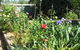 Goat Square Cottages - thumb 2