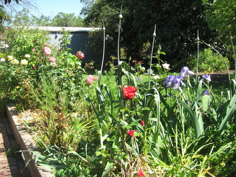 Goat Square Cottages - Queensland Tourism 2