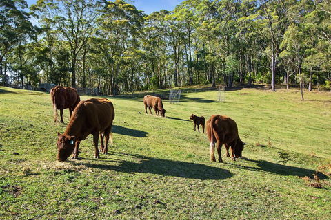 GOWAN ROSS COTTAGE - QLD Tourism 1