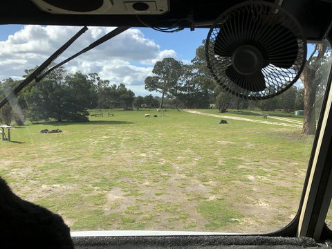 Grampians Old Man Emu Stay - QLD Tourism 1