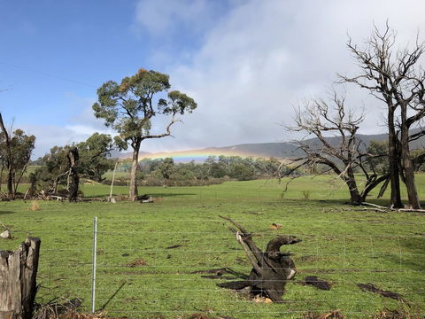Grampians Old Man Emu Stay - QLD Tourism 2