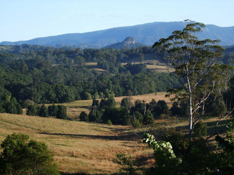 Grey Gum Lodge - QLD Tourism 0