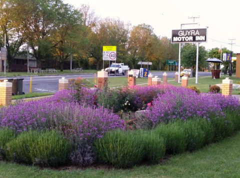 Guyra Motor Inn - QLD Tourism 1
