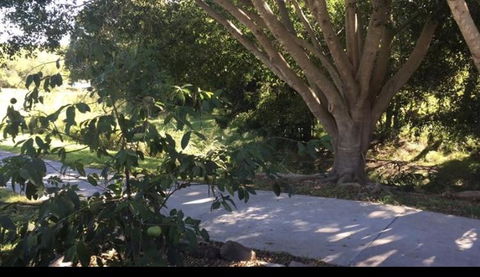 Handford Gardens - QLD Tourism 2