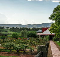 Hanging Tree Wines - Queensland Tourism