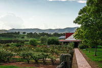 Book Pokolbin Accommodation Vacations QLD Tourism QLD Tourism