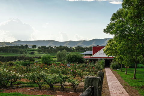 Hanging Tree Wines - Queensland Tourism 0
