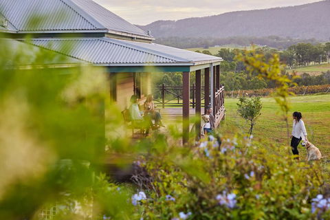 Hanging Tree Wines - Queensland Tourism 3