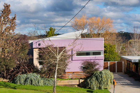 Harlequin - Queensland Tourism 2