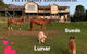 Heavenly Retreat B&B - thumb 1