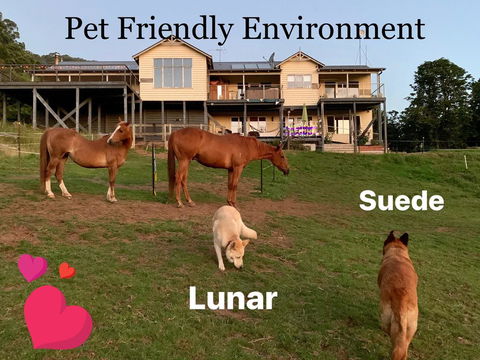 Heavenly Retreat B&B - QLD Tourism 1