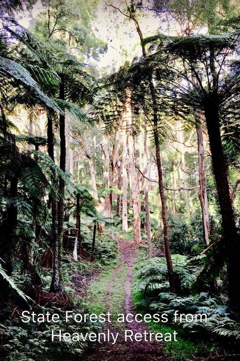 Heavenly Retreat B&B - QLD Tourism 3