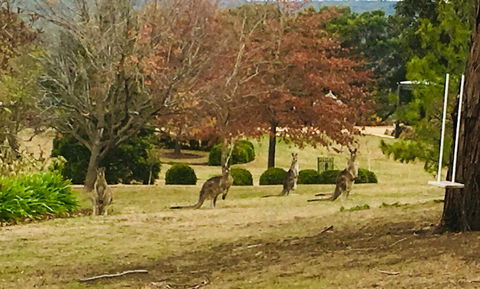 Highfield Cottage - QLD Tourism 2