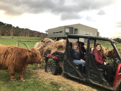 Highland Getaway - QLD Tourism 0