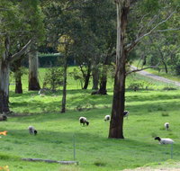 JAN'S ART STUDIO AT ASHBY RISE - QLD Tourism