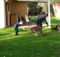 Kalgan River Chalets and Caravan Park - QLD Tourism