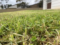 Book Karoonda Accommodation Vacations QLD Tourism QLD Tourism
