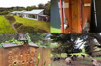 Book Kongwak Accommodation Vacations QLD Tourism QLD Tourism