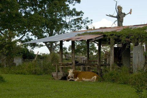 Lagoon Pocket Bed & Breakfast - QLD Tourism 3