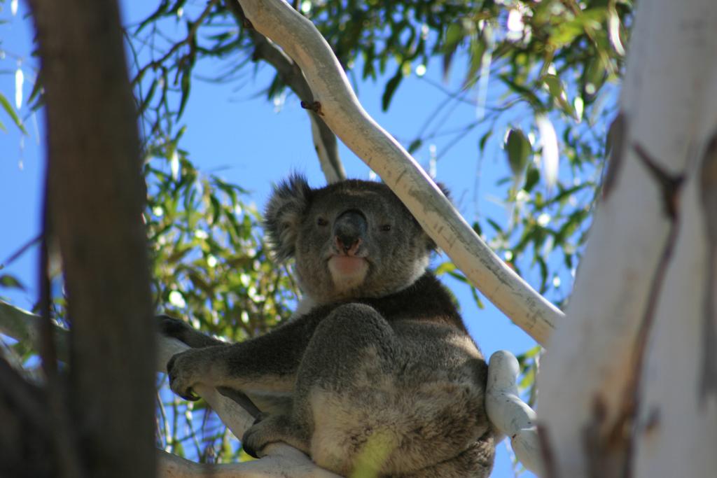 Vale Park SA QLD Tourism
