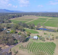 McCaffrey's Estate - Queensland Tourism