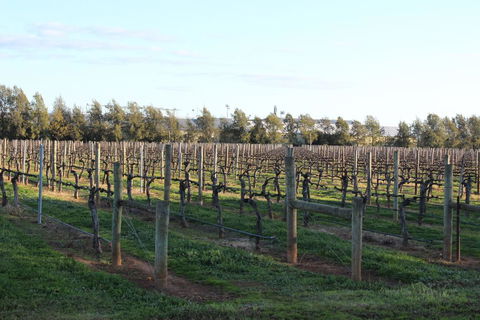 Milawa Vineyard Views - Guesthouse 2 - QLD Tourism 0