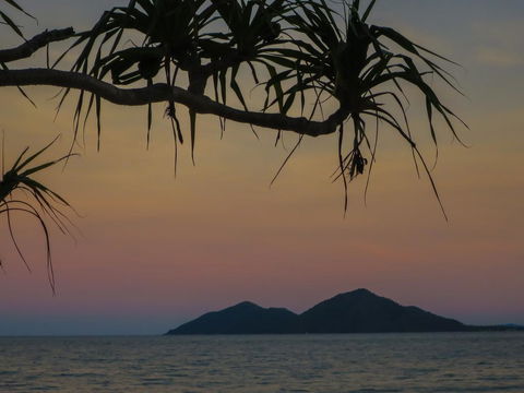Mission Beach Hideaway Holiday Village - QLD Tourism 1