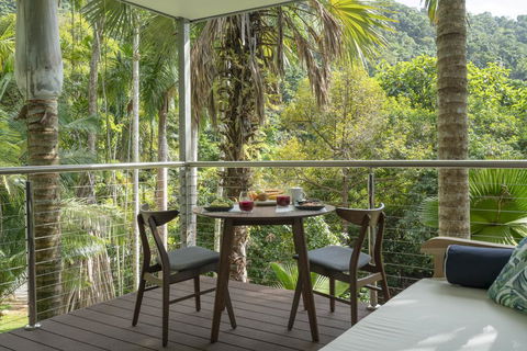 Mist At Cape Tribulation - Queensland Tourism 2