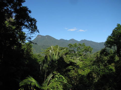 Mossman Gorge Bed And Breakfast - Queensland Tourism 0