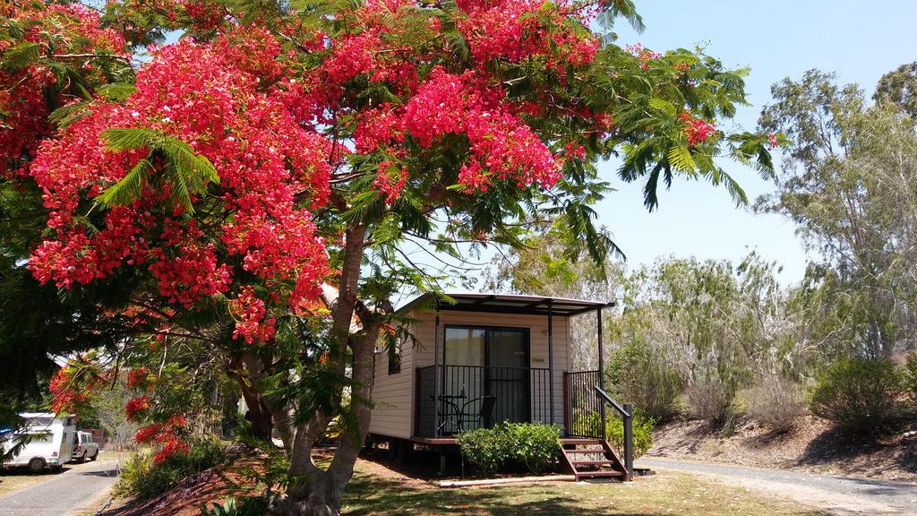 Ambrose QLD QLD Tourism