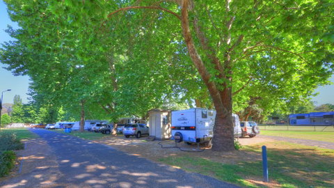 Myrtleford Holiday Park - QLD Tourism 1