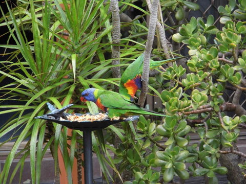 Nanango Fitzroy Motel - QLD Tourism 2