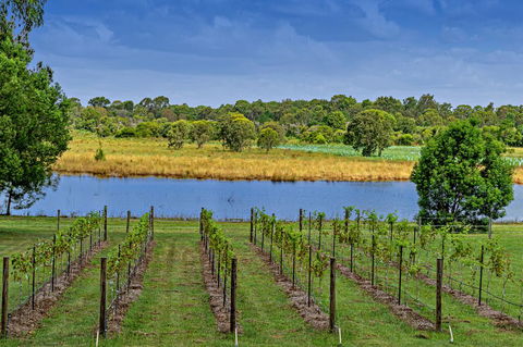 Narangba Motel (formerly Brisbane North B&B And Winery) - QLD Tourism 3